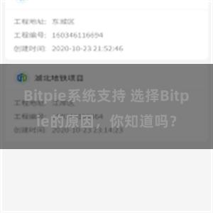 Bitpie系统支持 选择Bitpie的原因，你知道吗？