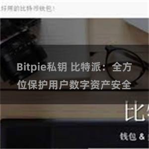 Bitpie私钥 比特派：全方位保护用户数字资产安全