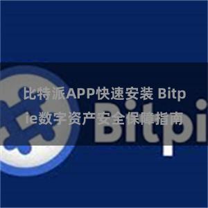 比特派APP快速安装 Bitpie数字资产安全保障指南