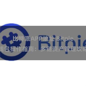 比特派APP地址 Bitpie钱包操作指南：多链资产管理攻略