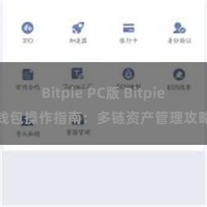 Bitpie PC版 Bitpie钱包操作指南：多链资产管理攻略