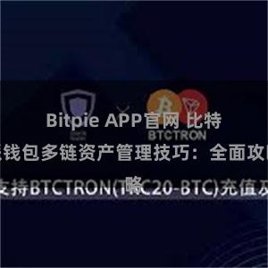 Bitpie APP官网 比特派钱包多链资产管理技巧：全面攻略