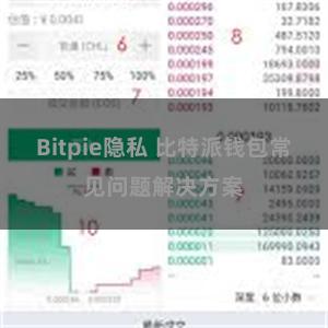 Bitpie隐私 比特派钱包常见问题解决方案