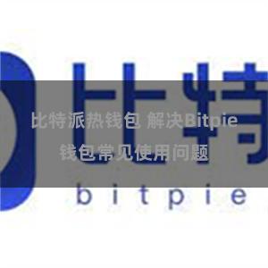 比特派热钱包 解决Bitpie钱包常见使用问题