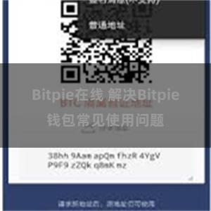 Bitpie在线 解决Bitpie钱包常见使用问题