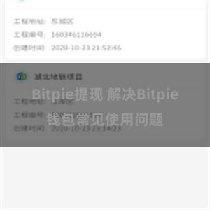 Bitpie提现 解决Bitpie钱包常见使用问题