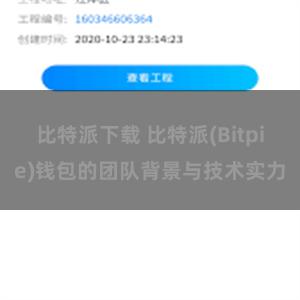 比特派下载 比特派(Bitpie)钱包的团队背景与技术实力