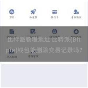 比特派教程地址 比特派(Bitpie)钱包能删除交易记录吗？