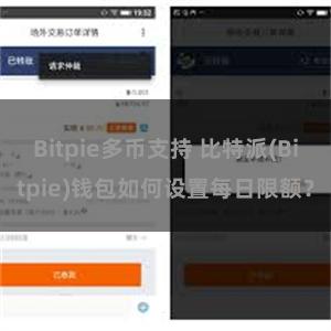 Bitpie多币支持 比特派(Bitpie)钱包如何设置每日限额？