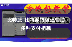比特派  比特派钱包还辅助多种支付相貌