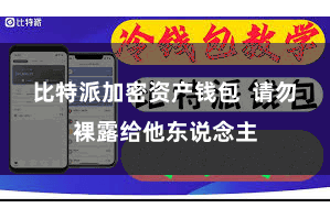 比特派加密资产钱包 请勿裸露给他东说念主