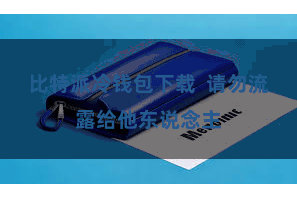 比特派冷钱包下载  请勿流露给他东说念主