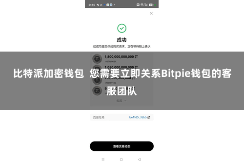 比特派加密钱包  您需要立即关系Bitpie钱包的客服团队