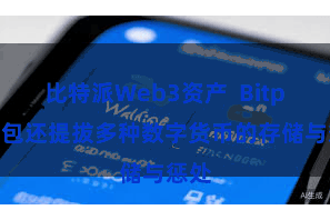 比特派Web3资产  Bitpie钱包还提拔多种数字货币的存储与惩处